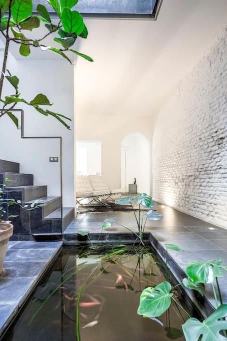 Exclusivo Apartamento De Diseno Centro Sevilla Matahacas Bajo Bagian luar foto