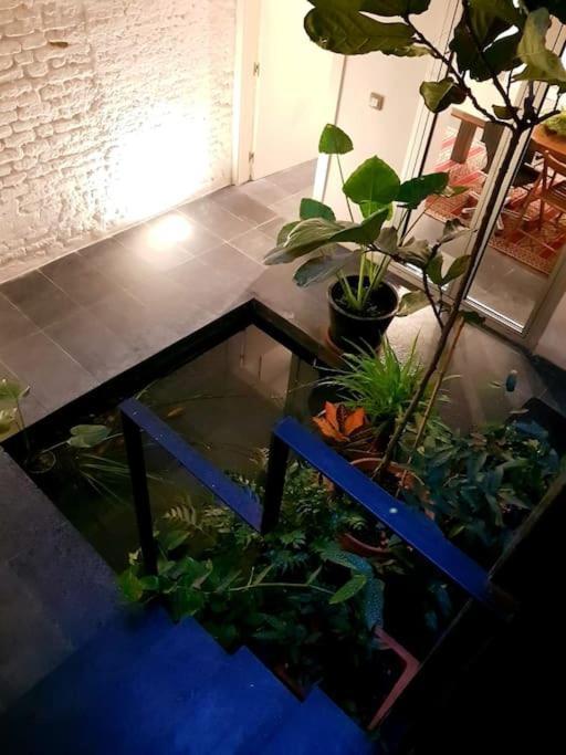 Exclusivo Apartamento De Diseno Centro Sevilla Matahacas Bajo Bagian luar foto