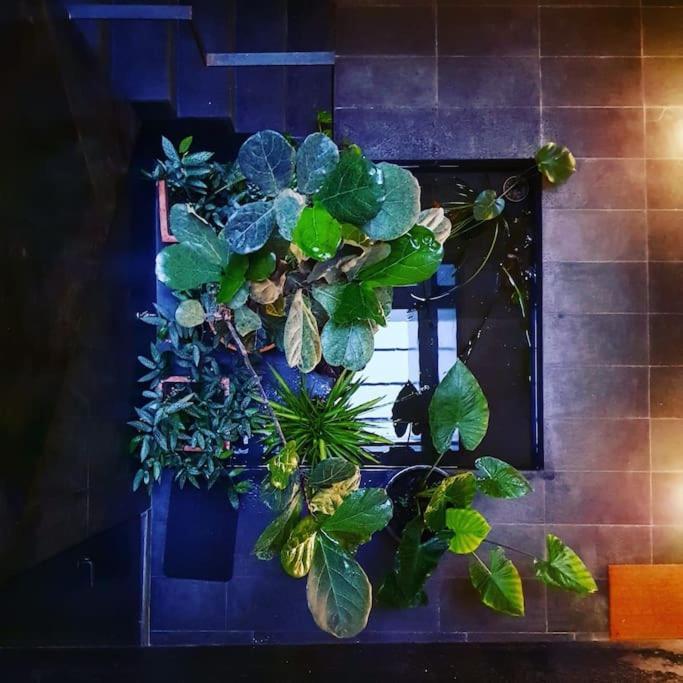 Exclusivo Apartamento De Diseno Centro Sevilla Matahacas Bajo Bagian luar foto